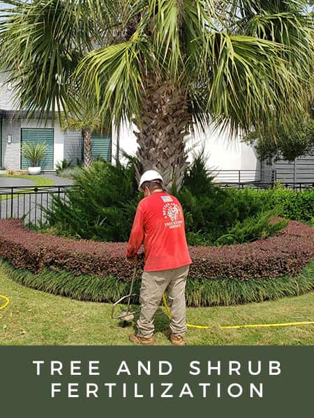 Completed tree service project Dallas
