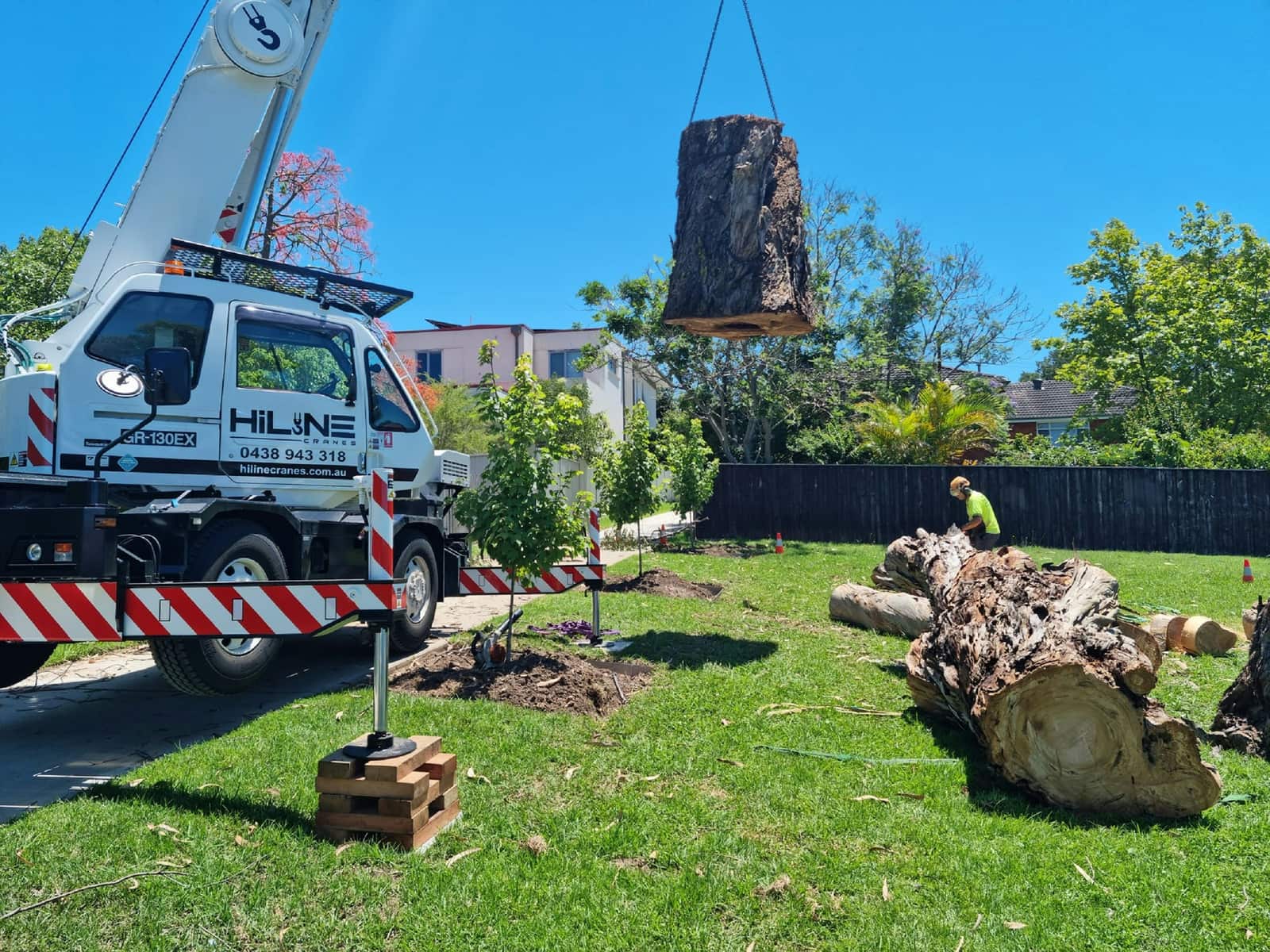 Stump removal and grinding Dallas